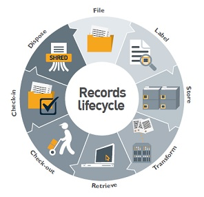 Management and lifecycle of records