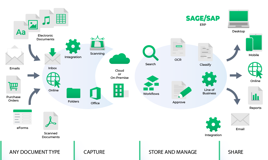 Document capture process